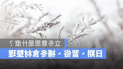 立冬 習俗